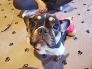 ‘Unconditional love’