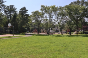 Fleisher announces new tree-planting initiative