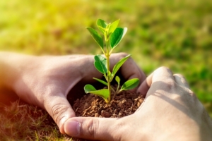 Cherry Hill Calendar