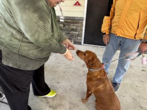 Township hosts annual rabies clinic