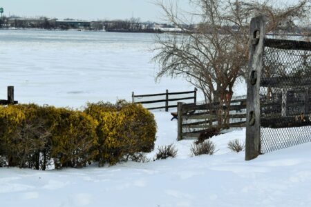 ‘Plowing, scraping and salting